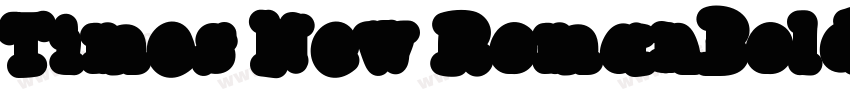 Times New RomanBold字体转换